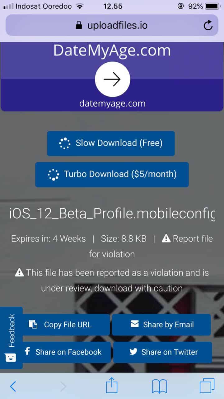 Download .mobileconfig iOS 12 Beta Develover